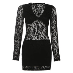 Lace long sleeve v neck solid mini dress | Festival Outfits Women
