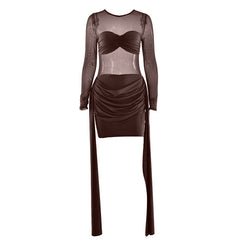 Crewneck long sleeve ruched mesh mini dress | Festival Outfits Women