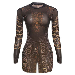 Crewneck long sleeve leopard print mesh mini dress | Festival Outfits Women | Leopard Print Mini Dress